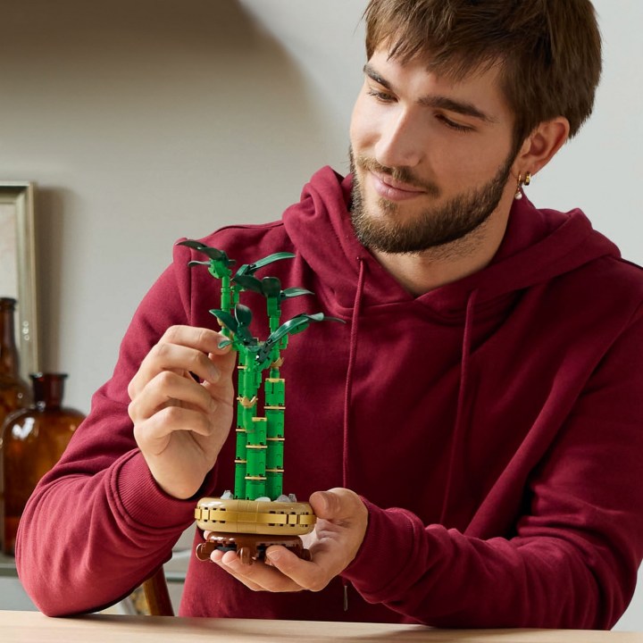 10344_Lifestyle_Cons_crop