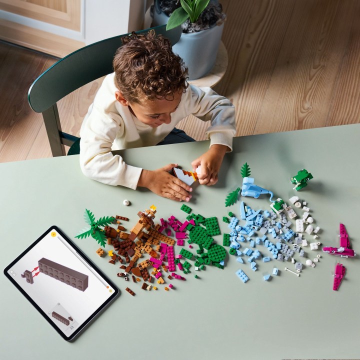 11041_Lifestyle_Build_crop